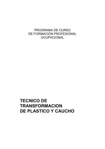 TECNICO DE TRANSFORMACION DE PLASTICO Y CAUCHO