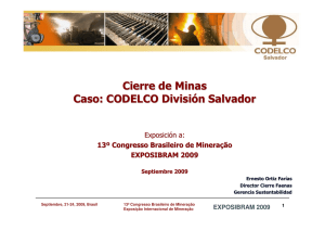 Cierre de Minas Caso: CODELCO División Salvador