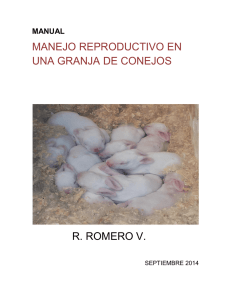 Manual de Manejo Reproductivo en una Granja de Conejos