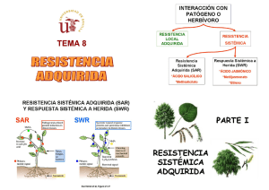 Microsoft PowerPoint - Tema 8 compuesto.ppt