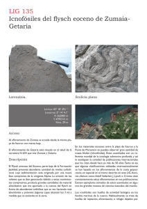 Icnofósiles del flysch eoceno de Zumaia- Getaria