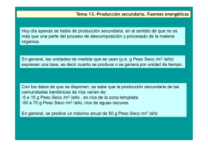Tema 13.-Producción secundaria. Fuentes energéticas Hoy día