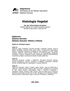 Histología Vegetal