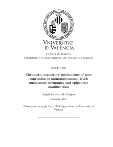 Chromatin regulatory mechanisms of gene expression at