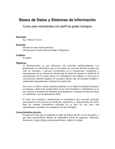 Bases de Datos y Sistemas de Información
