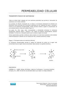 63 Permeabilidad celular: un experimento simple de difusión PDF