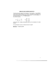 EJERCICIO DE MATRICES RESUELTO Una persona