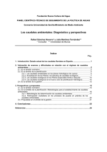 Los caudales ambientales: Diagnóstico y perspectivas