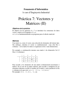 Práctica 7: Vectores y Matrices (II)