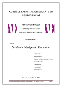 Cerebro &ndash; Inteligencia Emocional