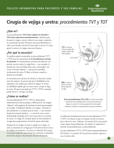 procedimientos TVT y TOT - Intermountain Healthcare