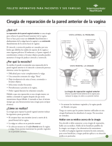 Cirugía de reparación de la pared anterior de la vagina ¿Qué es?