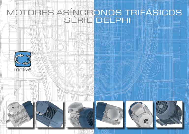 moToreS aSÍnCronoS TrIFáSICoS SérIe deLpHI