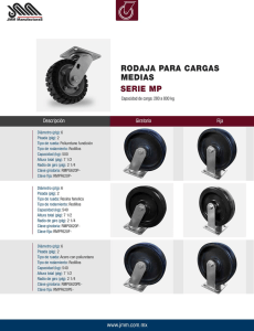 RODAJA PARA CARGAS MEDIAS