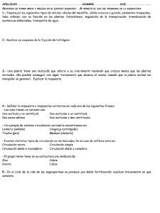 RE5PONDA DE FORMA BREVE y PRECISA EN EL ESPACIO