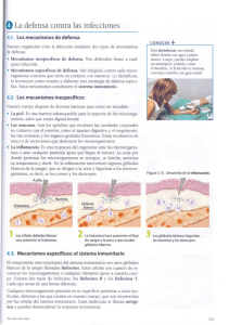 0 La defensa contra las infecciones