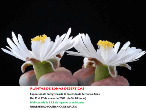 Plantas de Zonas Desérticas. (16-27 de marzo 2009)