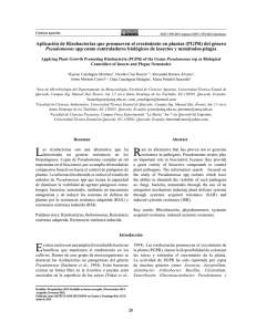 Aplicación de Rizobacterias que promueven el crecimiento en