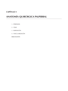 anatomía quirúrgica palpebral - Portada | Sociedad Española de