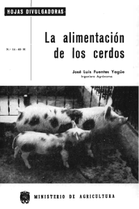 La alimentación de los cerdos
