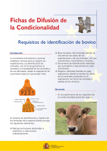 Ficha de requisitos de identificación de bovino.