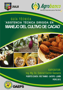 asistencia tecnica dirigida en manejo del cultivo del cacao
