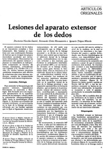 Lesiones del aparato extensor de los dedos