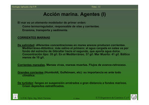 Lección 12. Acción marina