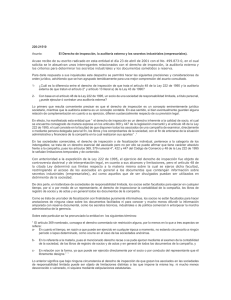 El Derecho de inspección, la auditoría externa y los secretos