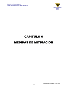 CAPITULO 6 MEDIDAS DE MITIGACION