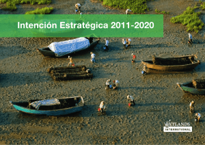 Intención Estratégica 2011-2020