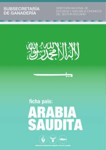 PA 020451-Ficha País Arabia Saudita