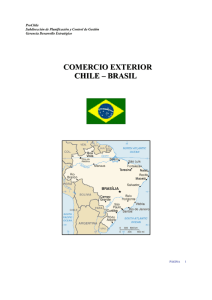 COMERCIO EXTERIOR CHILE – BRASIL