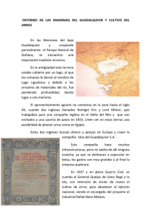 Salteras-Historia del arroz en las marismas del Guadalquivir