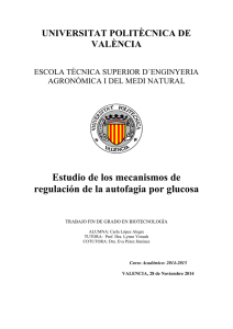 Estudio de los mecanismos de regulación de la autofagia por glucosa