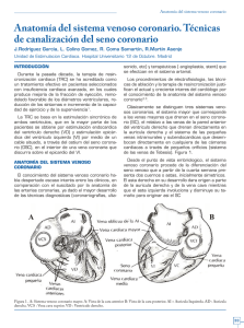 Cuadernos de Estimulación Cardiaca nº12