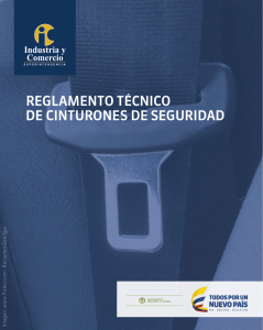 reglamento técnico de cinturones de seguridad