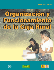 Organización y funcionamiento de las cajas rurales