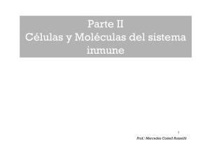 Parte II Células y Moléculas del sistema inmune