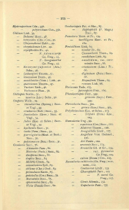 Mystrosporium Cda., 356. — polytrichum C k e . , 356. Oidium Link