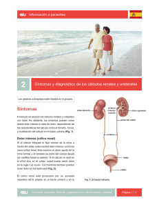 02_Síntomas y diagnóstico de los cálculos renales y ureterales