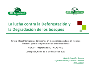La lucha contra la Deforestación y la Degradación de los bosques