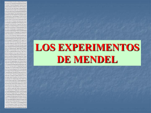 LOS EXPERIMENTOS DE MENDEL - U