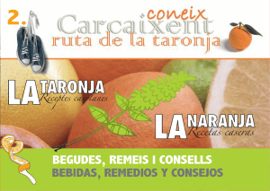 Llibre de Receptes Taronja
