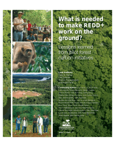 What is needed to make REDD+ work on the ground?