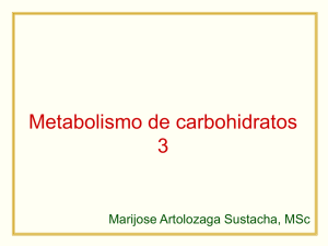 Metabolismo de carbohidratos 3 - Blog 4to Semestre 2