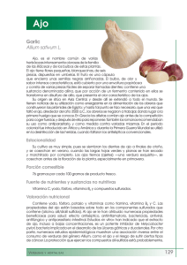 Ajo - FEN. Fundación Española de la Nutrición