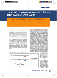 salmonella typhimurium monofásica – eficacia de la vacunación