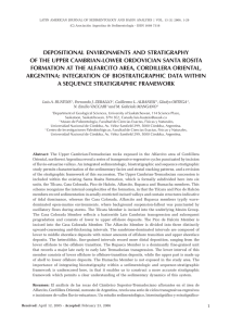 DEPOSITIONAL ENVIRONMENTS AND STRATIGRAPHY OF THE