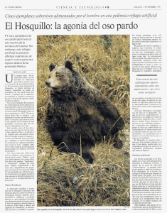 El Hosquillo:la agonía del oso pardo